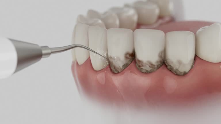 Reliable Dental contractor in Pleasant Hill, PA by Dentist Open Now